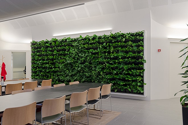 plantevæg, plantevægge, pyramiden i Kolding, Kontor med plantevæg, plantevæg