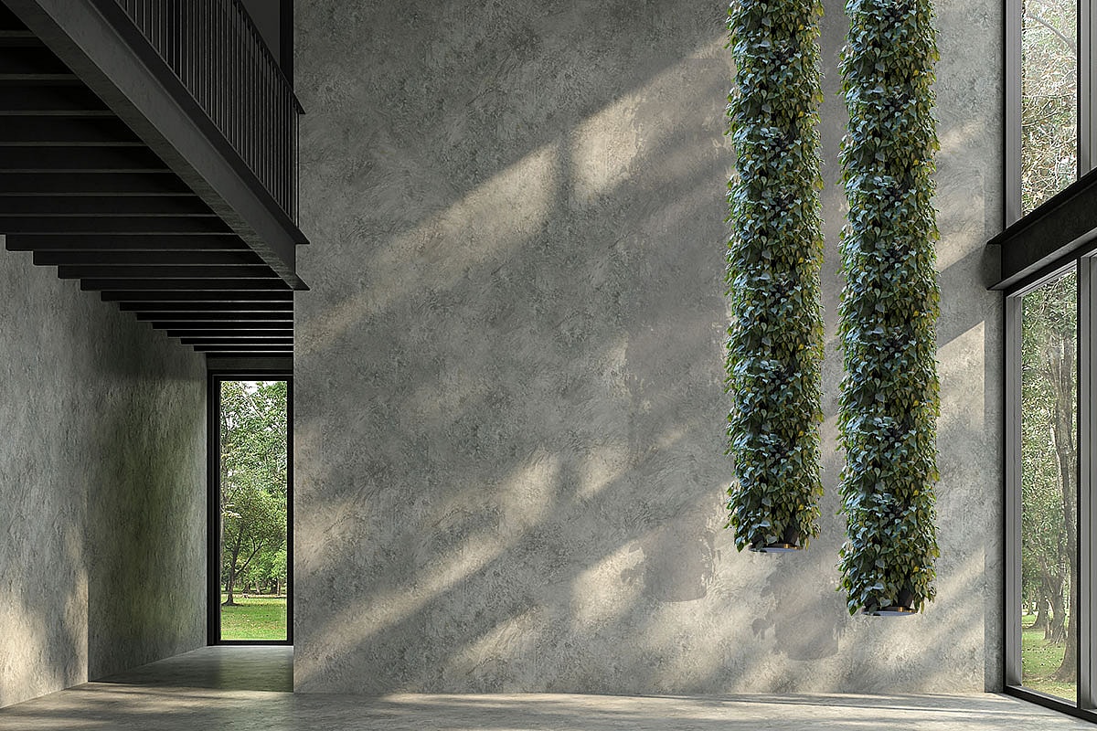 plantesøjler, lianer, grønne planter, betonvæg,