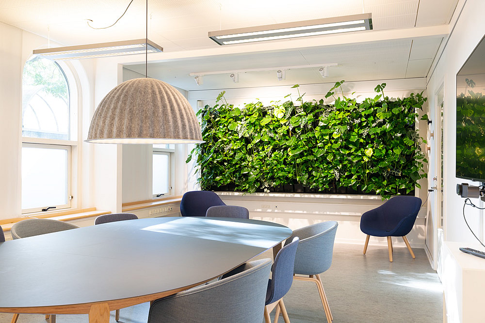 Natural-Greenwall Mødelokale, planter, grøn væg,