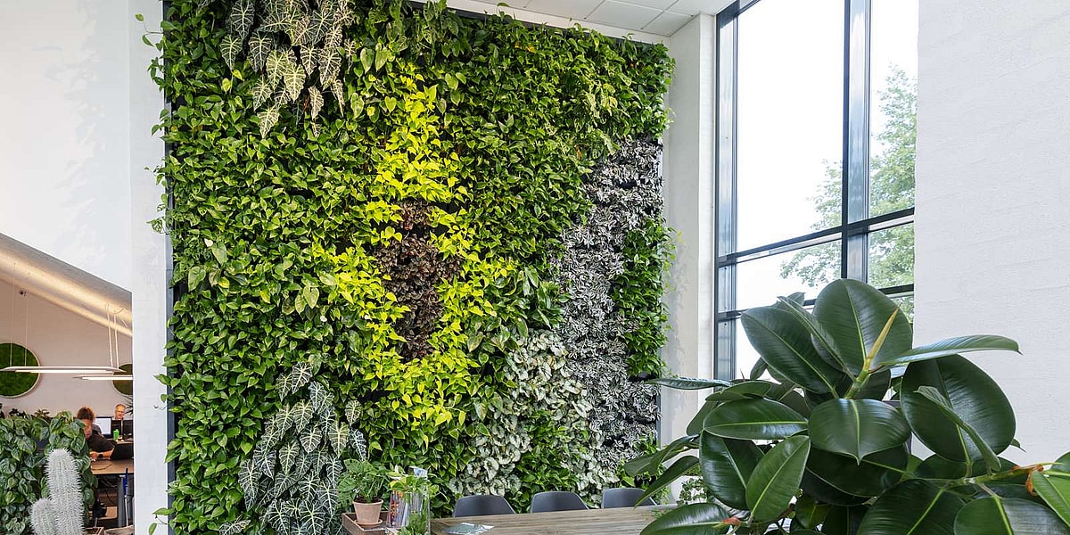 @naturalgreenwalls.com (1)-1600px blomstervæg, plantevæg, blomstervægge, plantevægge, plantevæg