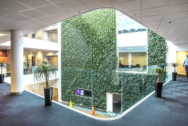 Projekter. Foto taget på gangareal i kontorbygning. Kig til stor væg med grønne planter og vinduesparti.