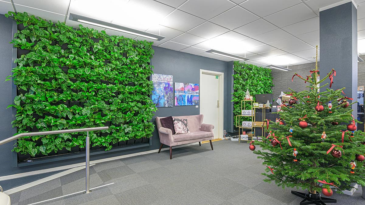 plantevægge, Sofa, haderslev wellnesshus, jultræ,