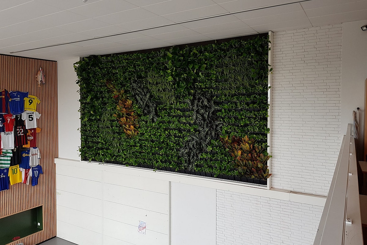 20190802_111556_resized Plantevæg hos Borgerskolen i Taastrup