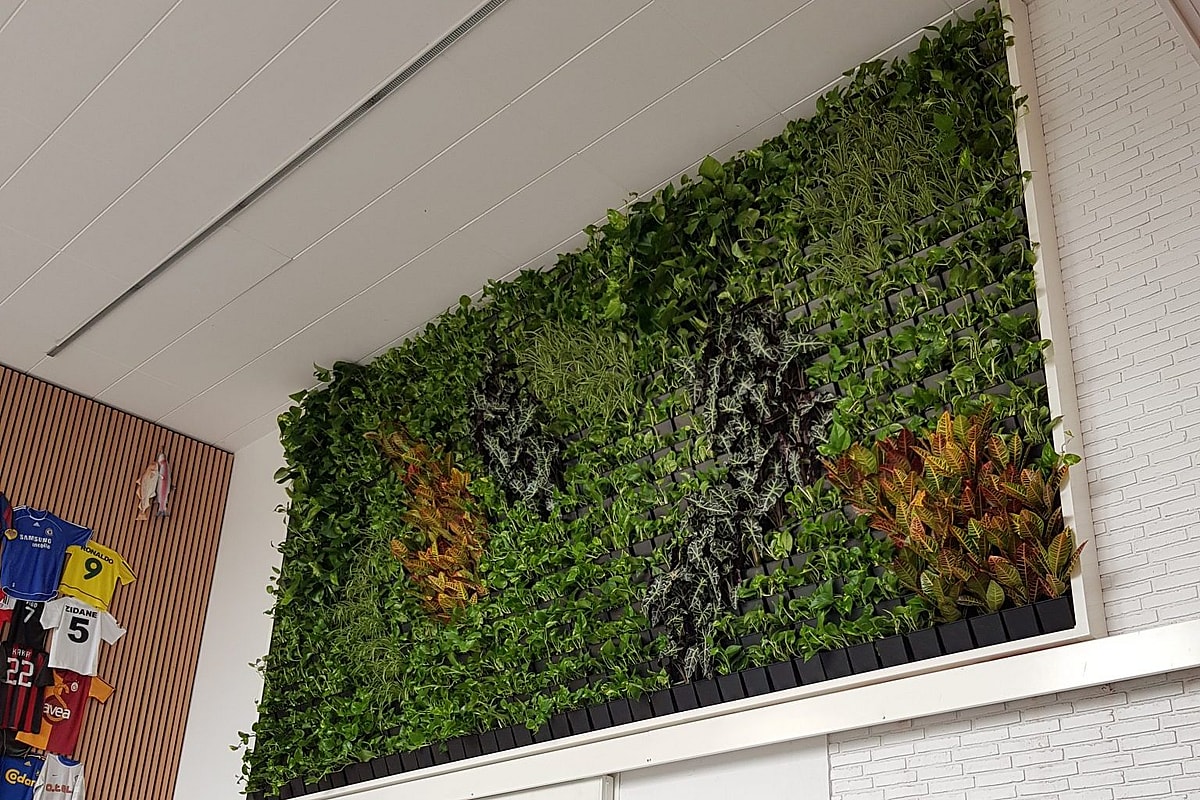 20190802_111755 Plantevægge