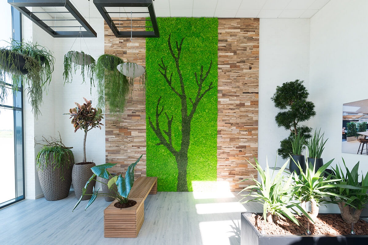 Jydsk Planteservice, mosvæg til private, fremtidens arbejdsplads, plantevæg, plantevægge, natural greenwalls,Teakwall, mosvæg, mosvægge, natural greenwalls, mosvæg