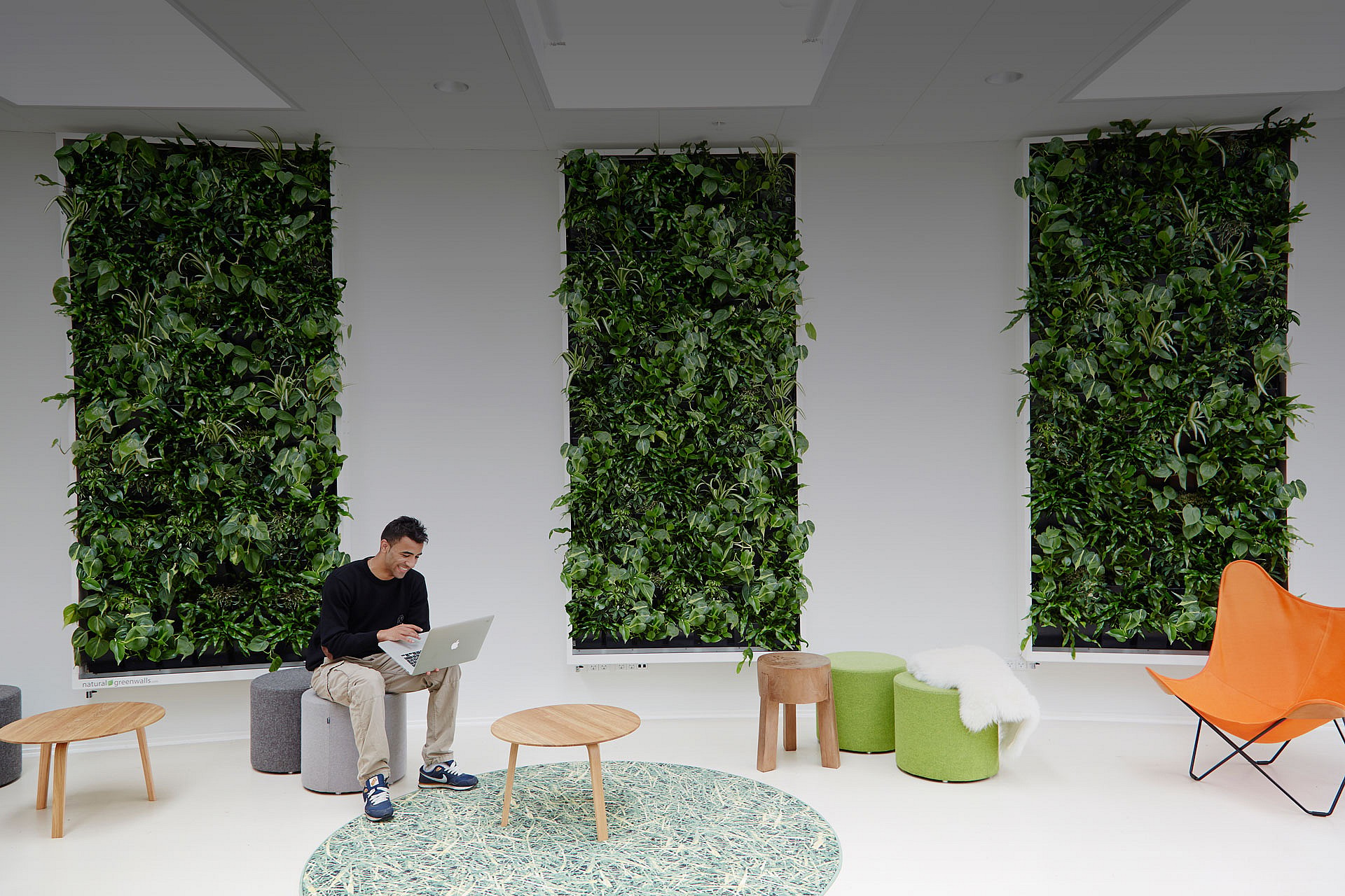 Ung mand sidder i fællesrum, planter på væg, orange stol, plantevæg