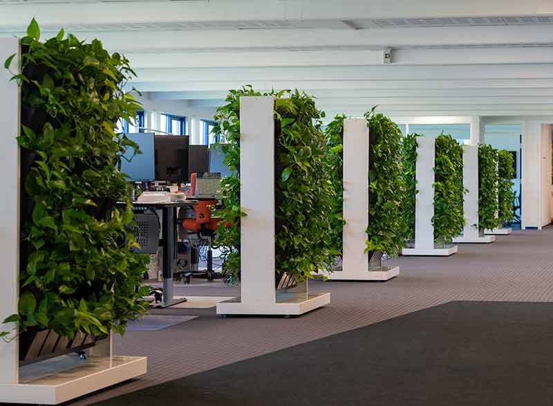 Mobil plantevæg til kontor Rumdelere med planter Læs mere