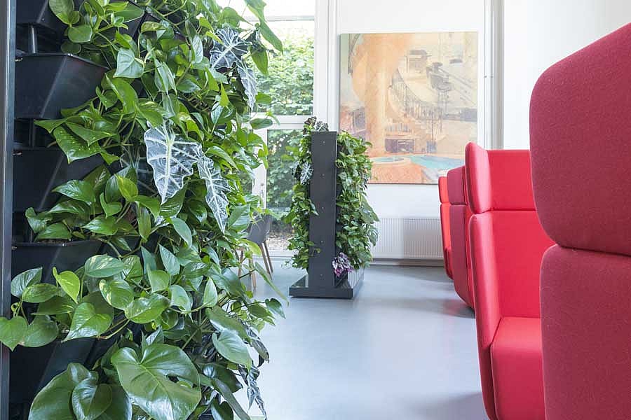 grønne planter, kontor, afskærmning,