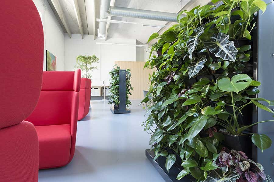 hyggeområde med planter, plantevæg mobil,