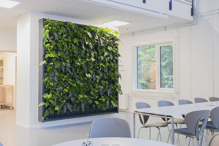Plantevæg, natural greenwalls,
