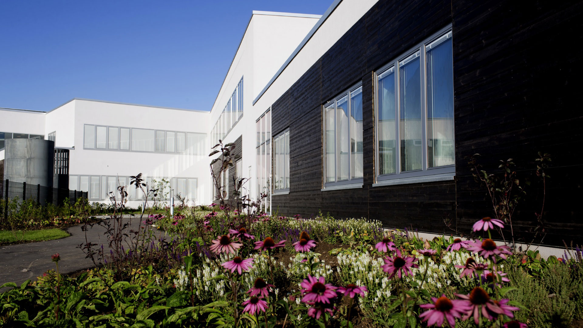 Blomsterbed udendørs Aabenraa hospital Foto udendørs af sort og hvid bygning med blomsterbed