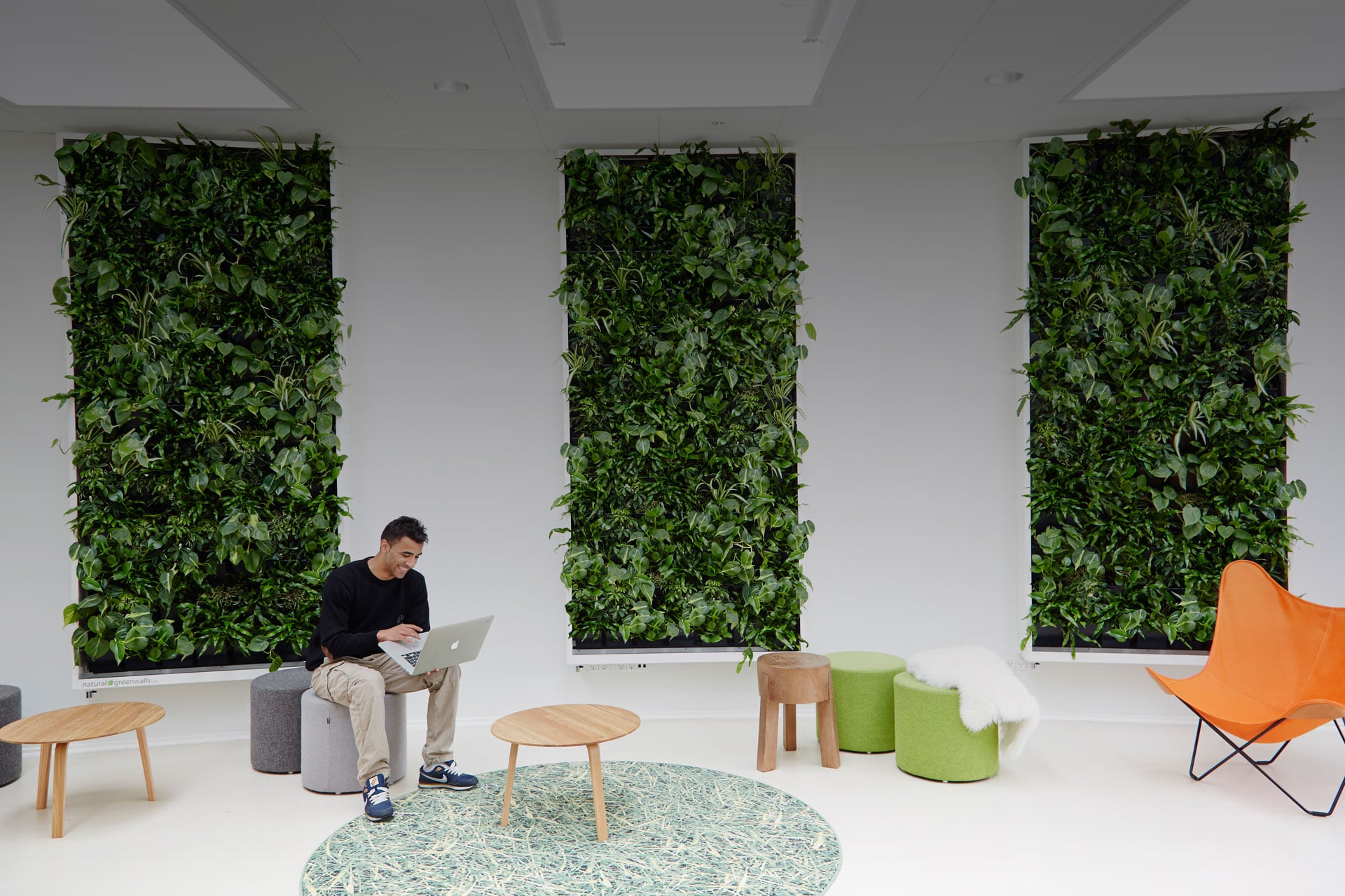 Ung mand sidder i fællesrum, planter på væg, orange stol, plantevæg