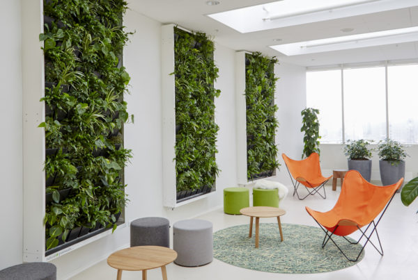 Grønne planter på væg, 2 orange stole, grå og grønne taburetter