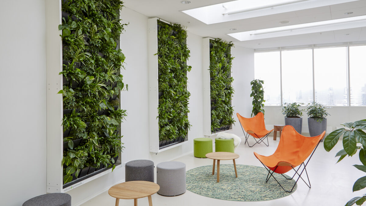 Grønne planter på væg, 2 orange stole, grå og grønne taburetter