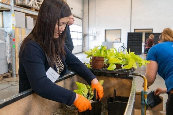 Tilplantning af plantepotter Training Day Ung kvinde med orange handsker holeder en plantepotte