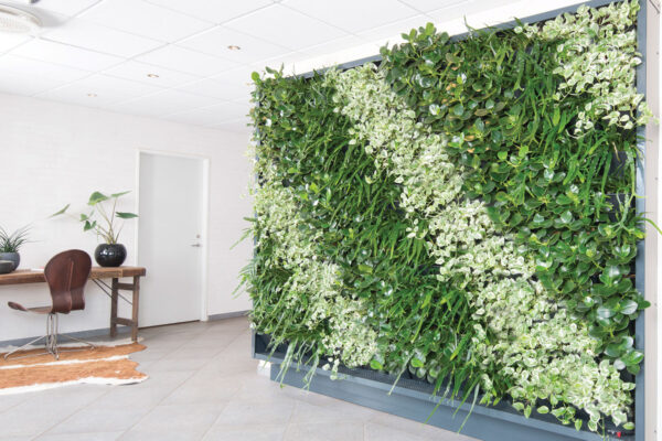 Plantevæg JPS Dansk plantevæg, Væg med planter, træskrivebord, stol, skind på gulv