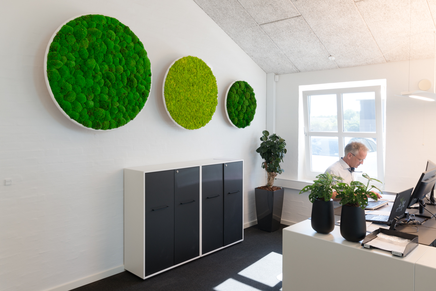 Jydsk Planteservice-1847 planteservice, Jydsk Planteservice, fremtidens arbejdsplads, natural greenwalls