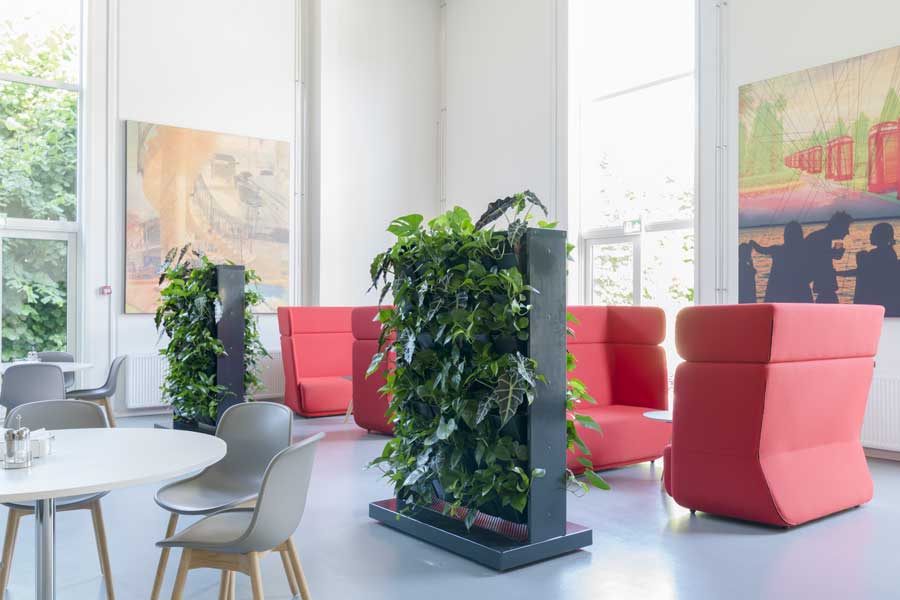 kontor miljø, planter, indeklima, akustik,
