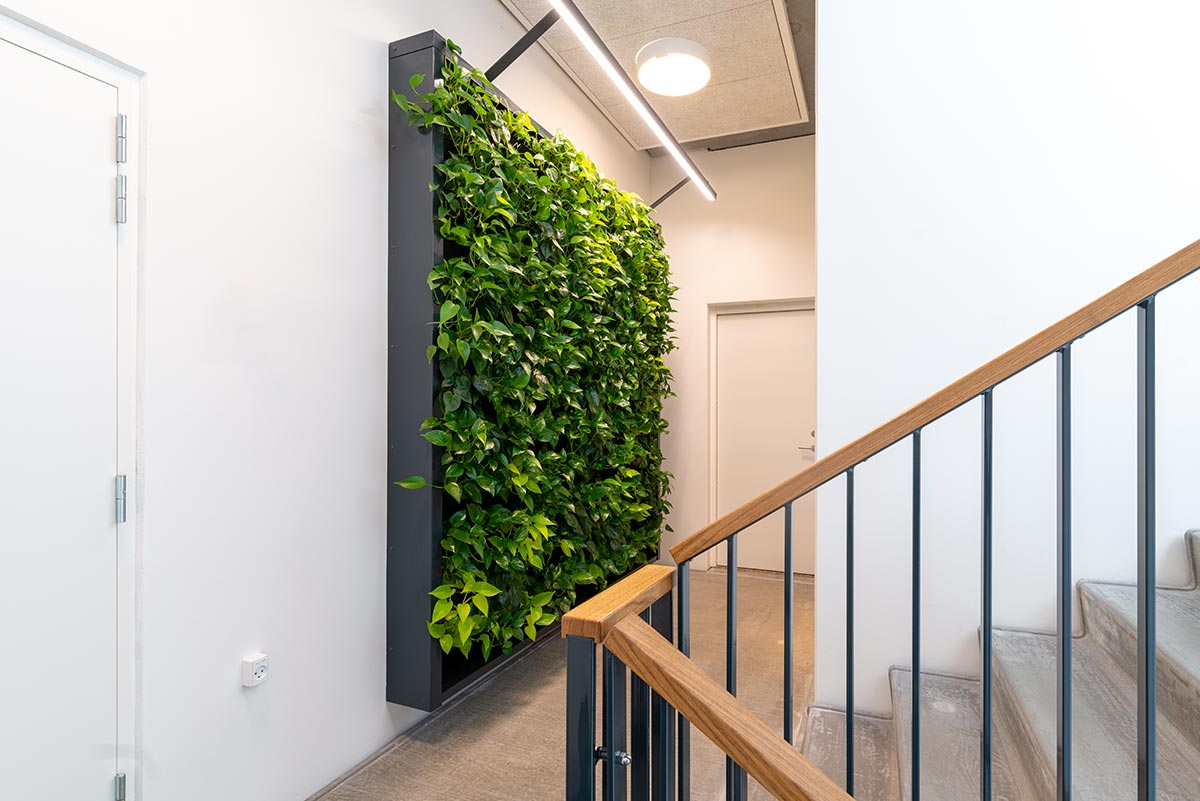 Grøn væg Trappeopgang, planter, naturalgreenwalls,