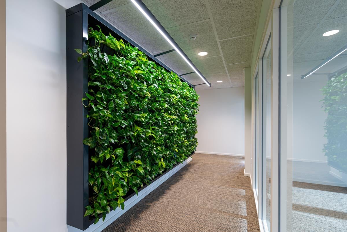 Grøn plantevæg plantevæg, vækstlys, grønne planter,