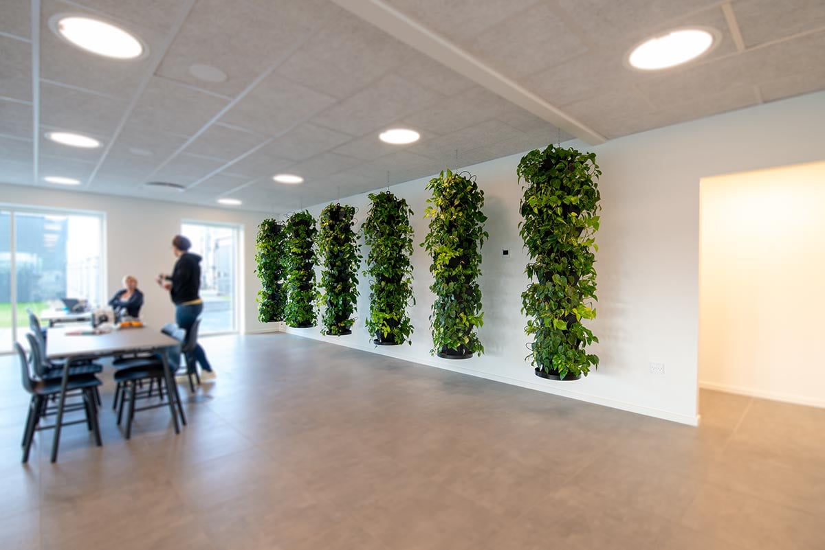 groenne plantesoejler grønne plantesøjler, kantine,
