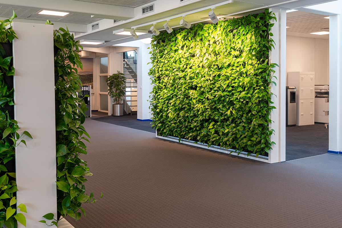 Grøn plantevæg Grøn plantevæg på kontor,