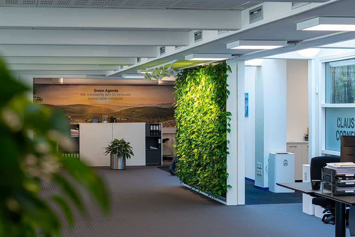 Natural greenwall plantevæg Plantevæg, Kontor,
