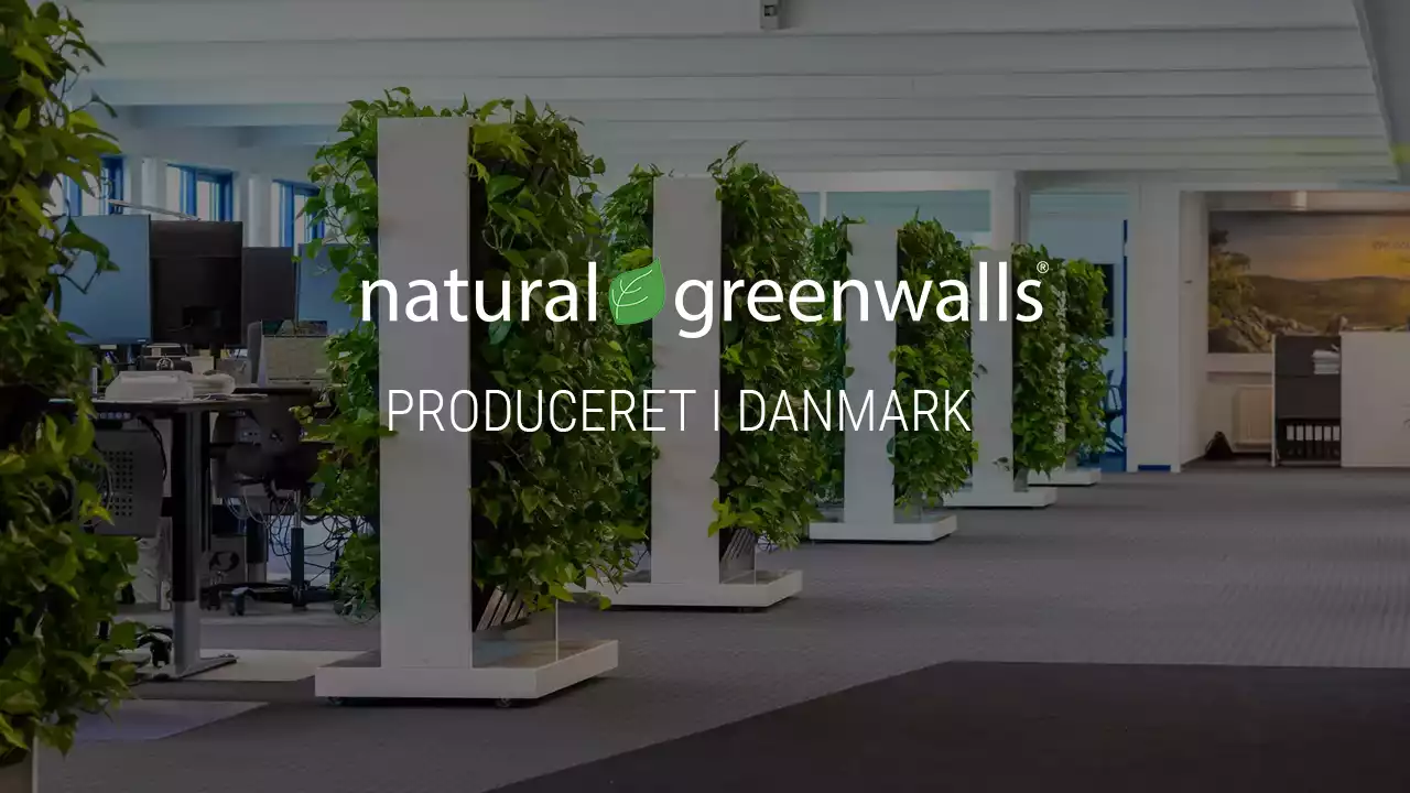 Billede af mobilplantevægge,