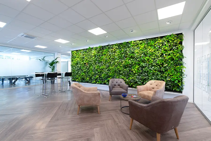 Grøn plantevæg Grøn plantevæg, Læderstole,