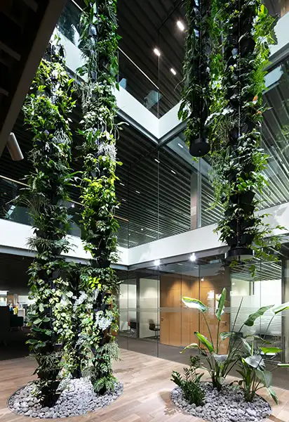 Grønne plantesøjler hængende Hængende plantesøjler, Bede med planter,