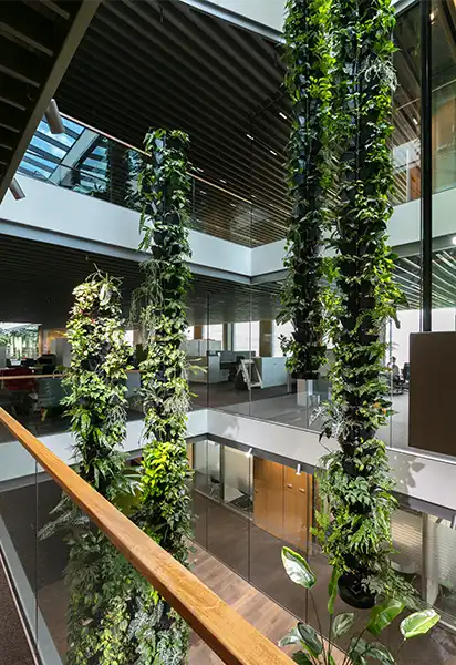 Hængende planter Kontorhus med hængende planter,