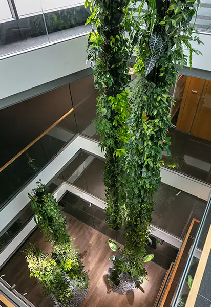 Hængende søjler med planter Store grønne plantesøjler,