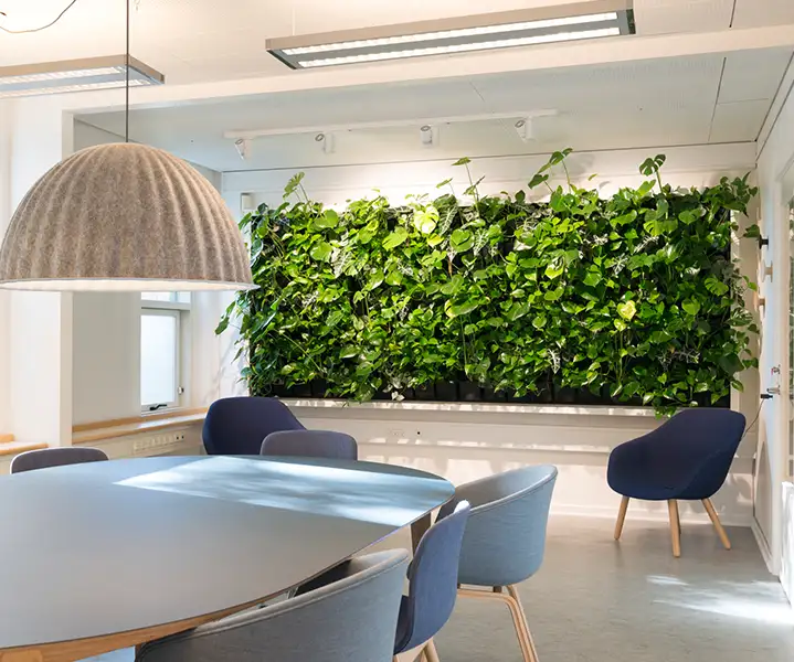 Mødelokale med plantevæg Plantevæg i mødelokale,