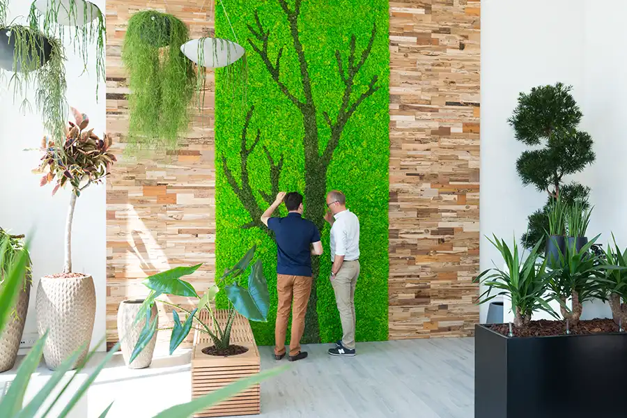 Mosvæg med mønster Showroom, mosvæg, planter, krukker,