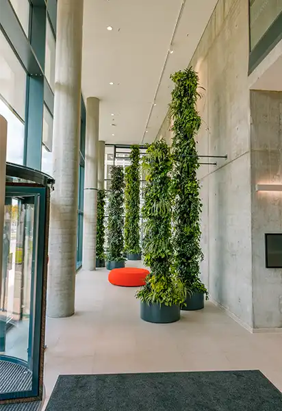 Plantesøjler 4 meter høje Indgang, plantesøjler på 4 meter, krukker med søjler i,