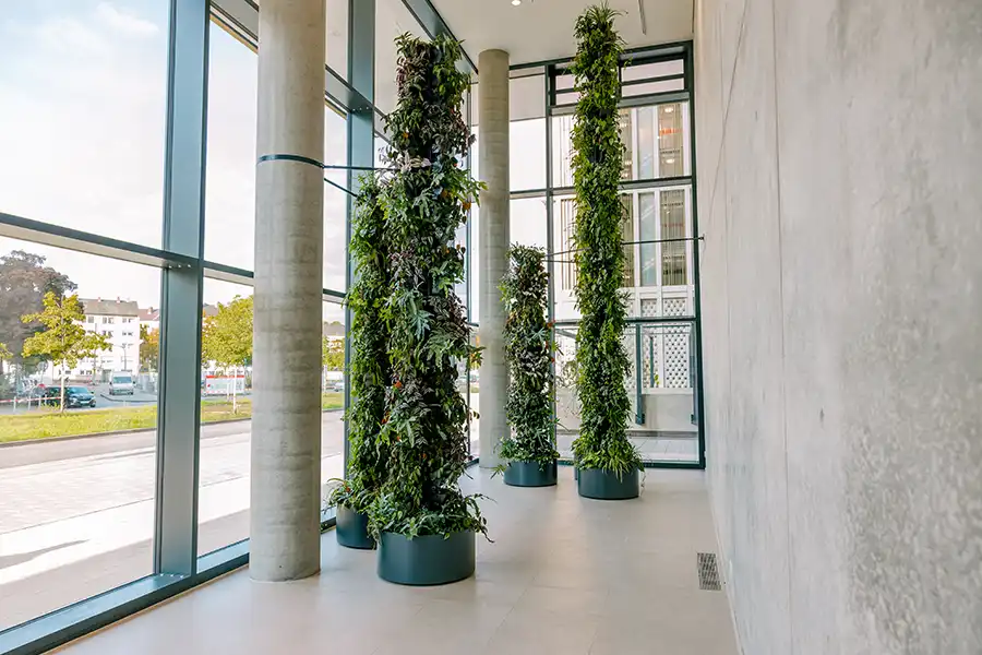 Plantesøjler Indgang med plantesøjler,