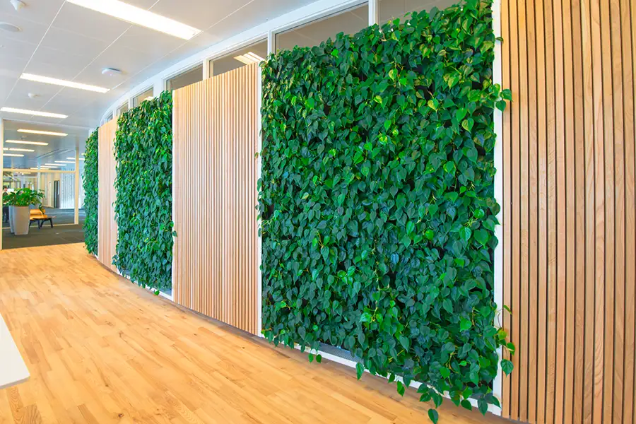 Plantevægge på kontor 3 plantevægge på bue træ væg,
