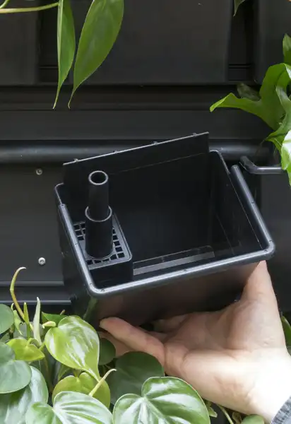 Potter til plantevæg Potter til Natural Greenwalls plantevæg,