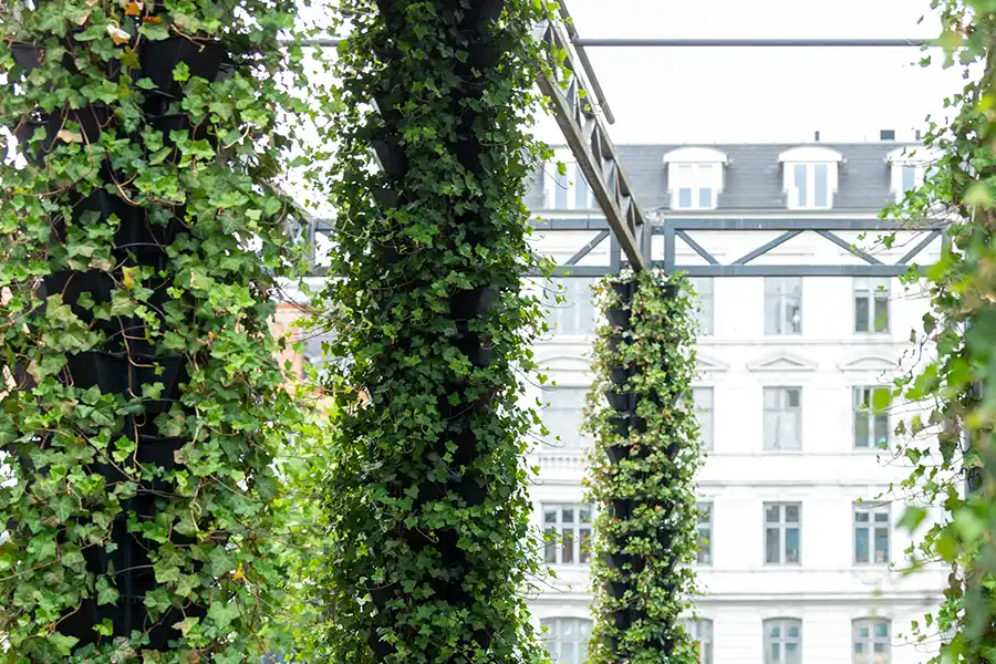 Store grønne plantesøjler Udendørs plantesøjler,