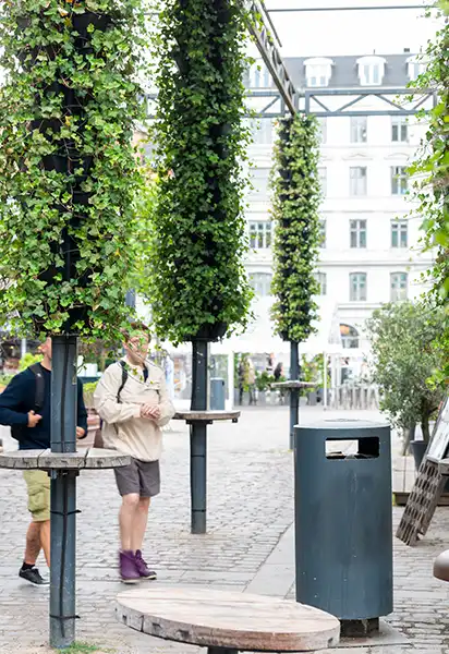 Udendørs plantesøjler med Hedera Udendørs søjler med planter,