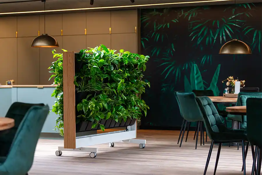 Grønne vægge med hjul Aflang plantevæg med hjul og grønne planter i kantine,