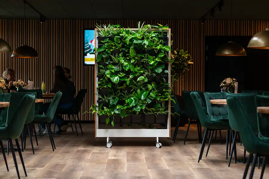 Planteafskærmning kantine Plantevæg i kantine,
